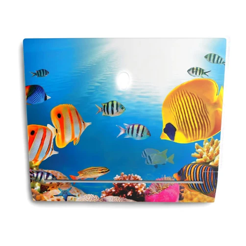 MIGHTY SKINS MightySkins Skin Compatible with Alienware X14 (2022) Full Wrap Kit - Tropical Life | Protective, Durable, and Unique Vinyl Decal wrap Cover | Easy to Apply & Change Styles | Made in The USA