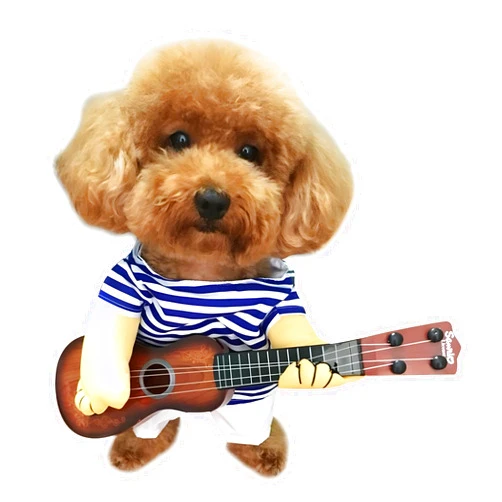 NACOCO Pet Guitar Costume Dog Costumes Cat Halloween Christmas Cosplay Party Funny Outfit Clothes (XL)