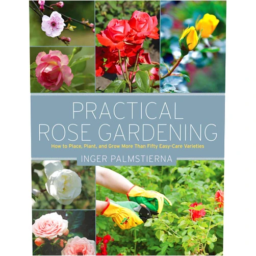 Inger Palmstierna Practical Rose Gardening: How to Place, Plant, and Grow More Than Fifty Easy-Care Varieties