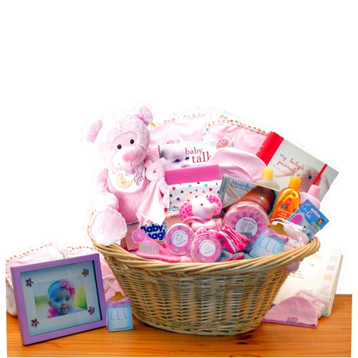Gift Basket Dropshipping Deluxe Welcome Precious Baby Girl Basket - Pink - New Baby Gift Basket