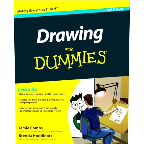 Brenda Hoddinott,Jamie Combs Drawing For Dummies 2e