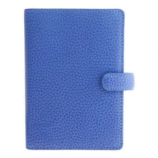 Filofax Finsbury Organizer, Mini Size, Vista Blue - Traditional Grained Leather, Five Rings, Week-to-View Calendar Diary, Multilingual, 2024 (C029504-24)