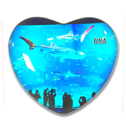 Generic USA America Georgia Aquarium Atlanta Fridge Magnets Sticker Kitchen Refrigerator Decoration Magnet Gift Heart Shape