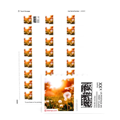 Stamps.com Dandelion Wishes NetStamps 1200 Labels (50 Sheets) Printable Postage Labels (Stamps.com Subscription Required) - Print Approved Postage - Inkjet & Laser Printers - Business, Personal, Home