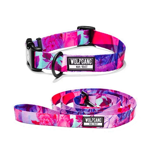 Wolfgang Man & Beast Wolfgang Premium USA Webbing Dog Leash and Collar Set, Daydream Print, Small