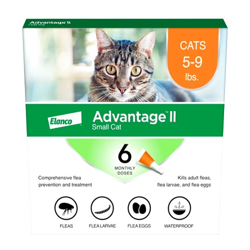 Advantage II Small Cat Vet-Recommended Flea Treatment & Prevention | Cats 5-9 lbs. | 6-Month Supply