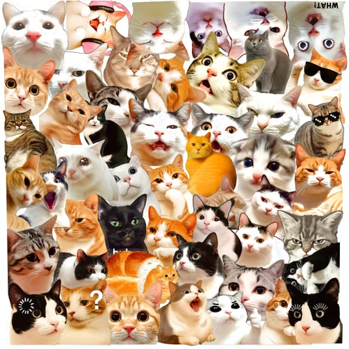Fsbgttyc 50 PCS Cat Meme Stickers, Transparent PET Waterproof Cute Decals for Water Bottle Laptops Phone Kindle Journaling Scrapbooking,Kitten Stickers Suitable for Adults Teens(Cat)