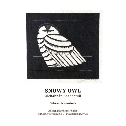 Gabriel Rosenstock Snowy Owl: Ulchabhán Sneachtúil (Irish Edition)