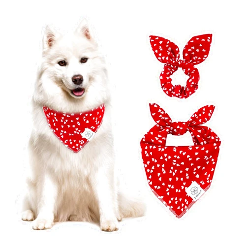 E-Clover Dog Bandanas & Matching Scrunchie-Heart Dog Bandana Red Pet Scarf Bib for Medium Large Dogs Girl Boy Owner Mom Valentines