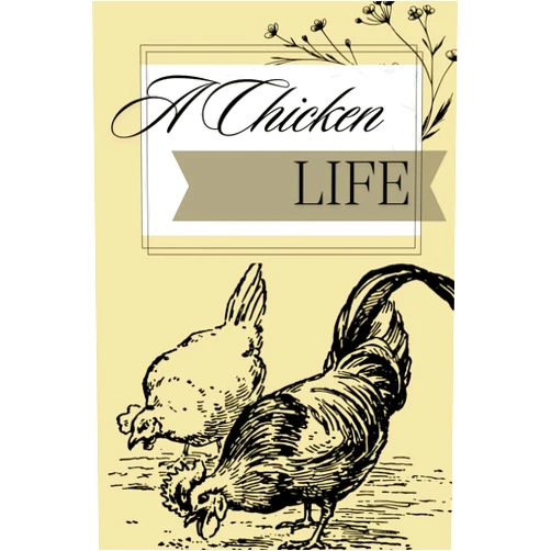 Momenta Pics A Chicken Life: 120 white and black pages to record your craziest chicken thoughts. This notebook is perfect for all chicken enthusiasts.