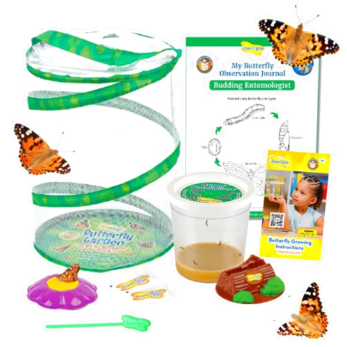 Insect Lore Butterfly Garden | 5 Live Baby Caterpillars | STEM Journal, Habitat, Chrys-A-Lid, Feeder | Raise and Release Painted Lady Butterflies