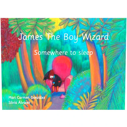 Mari Carmen González Sánchez,Silvia Álvarez Castellar James The Boy Wizard. Somewhere to sleep (Spanish Edition)