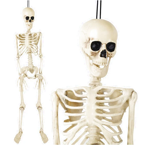 Juegoal Halloween 3 ft Skeleton, Full Body Skeleton, 1/2 Life Size Human Bones Pose-N-Stay Realistic with Adjustable Joints, Pose Skeleton Prop for Halloween Decoration