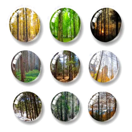 Lissaberg Glass Refrigerator Magnet Decorations, Lissaberg 9Pcs Forest Pattern Strong Magnetic Round Fridge Magnet Decorations for Locker, Office Whiteboard, Photo, Cabinet, Dishwasher Magnet, Forest