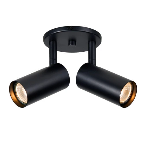 Dainolite Stanly 2 Light Spotlight - Matte Black