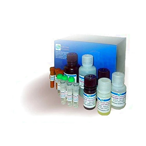 BioAssay Systems Acetylcholinesterase Reagent