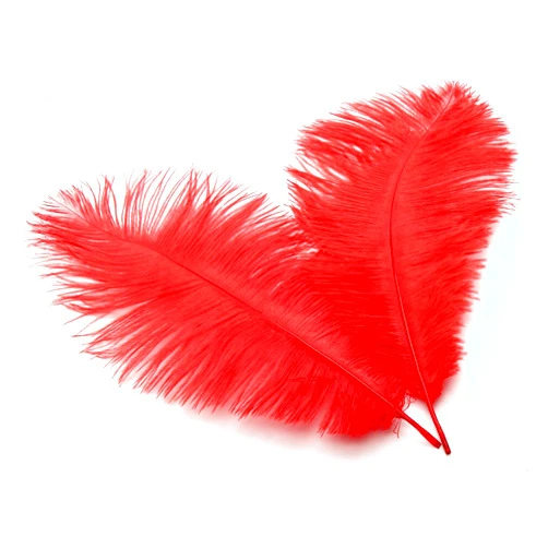 Sowder 10-12inch(25-30cm) Ostrich Feathers Plume for Wedding Centerpieces Home Decoration Pack of 10pcs(red)