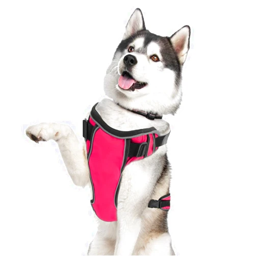 GoFortunePet Reflective No Pull Dog Harness to Walk Small, Medium and Large Pets - Easy Adjustable Design - Anti Escape, Heavy Duty Body Vest with Breathable Mesh, Weather Proof Nylon (Pink, XL)