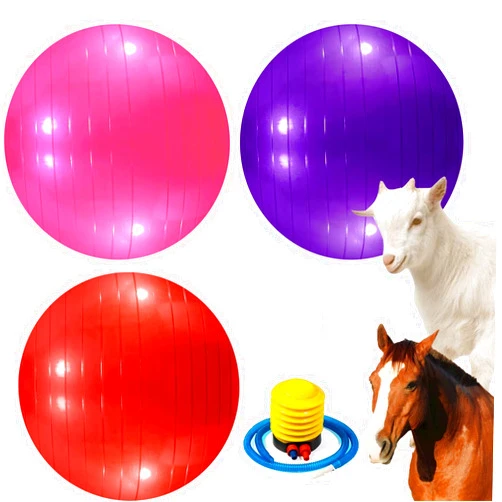 WoYous 3 Pieces Pet Goat Ball Lamb Toy Horse Ball Dog Training Exercise Ball Toy with Inflator Pump for Pet Dogs Goats Horses to Play in Outdoor Entertainment (Pink, Purple, red)