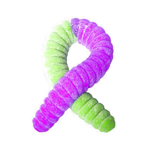 The Gummy Bear Guy | SOUR World's Largest Gummy Worm | Grape/Lime