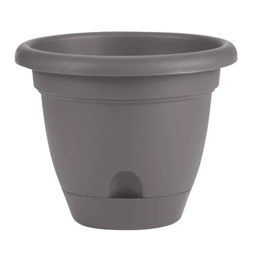 Bloem LP12908 Lucca Self Watering Planter w/Saucer 12