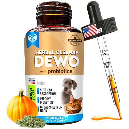 Beloved Pets Natural Cat & Dog Intestinal Defense with Probiotic - Herbal Cleanse Broad Spectrum Treatment - Helps Remove Parasites & Toxins - Digestive Issues Supplement for Kittens & Puppies Made in USA