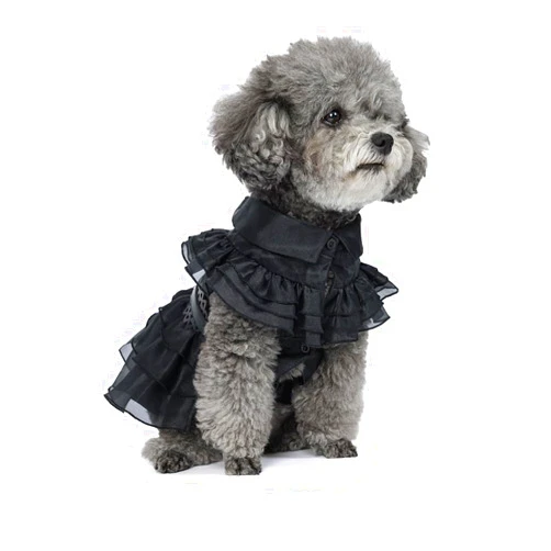 DZTYG Pet Dog Cat Dress Costume Cosplay Cute Puppy Kitten Black Coat Clothes with Belt Halloween Party Dress up Pretend Play for Small Medium Dogs