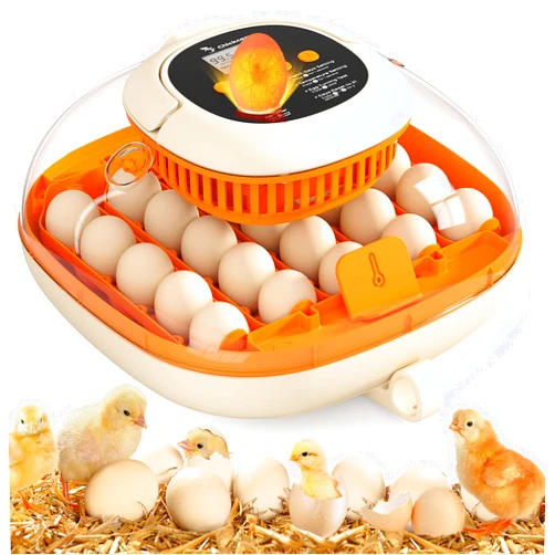 Chickcozy [2024 Upgrade] 25 Egg Incubator, Automatic Egg Turner with Thermometer Seat and Humidity Control, Egg Candler, 360° View with Clear Window, Incubators for Hatching Chicks