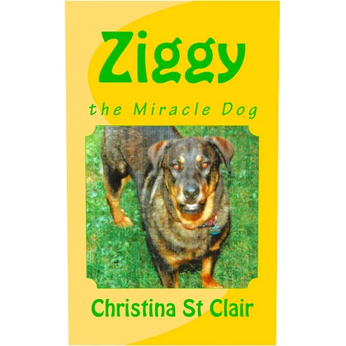 Christina St Clair,Tom Zamaria Ziggy, the Miracle Dog