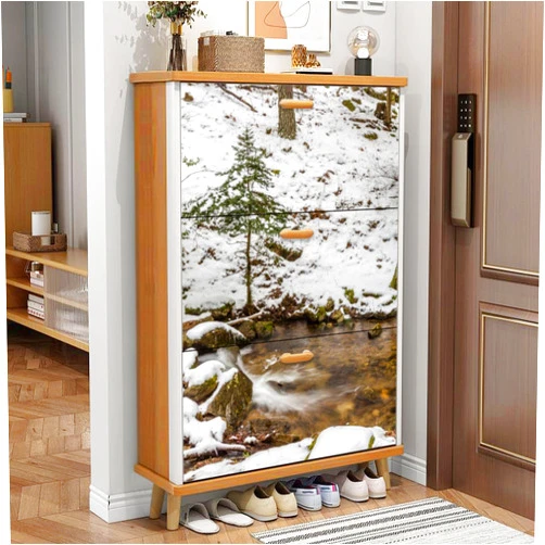 GINGMGNGI 3 Drawer Shoe Cabinet, Artistic Shoe Cabinet, Snow Covered Mountain Stream Port Canencia de Madrid Wood Shoe Rack Organizer for Entryway Slim (31.5”W x 9.45”D 46”H)