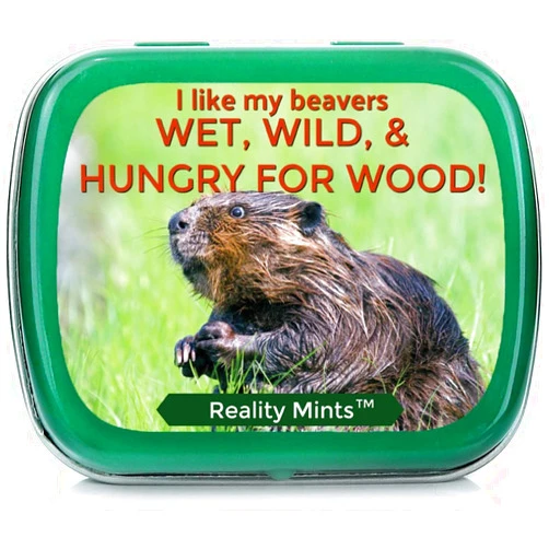 Gears Out Funny Statement Mints - Breath Fresheners for Adults - Mens Gag Gifts, Stocking Stuffers, Candy Basket Fillers - Sugar-Free - Pocket-Size Metal Tins (Beaver)