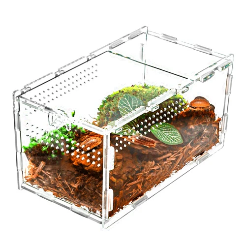 REPTI ZOO 2 in 1 Acrylic Aboreal Breeding Box for Mantis Snail or Terrestrial Breeding Box for Cricket Jumping Spiders Tarantula, Small Tarantula Enclosure Spider Enclosure, 4
