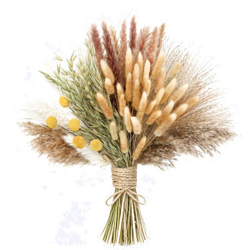 Xin's convey 118PCS Dried Flowers Bouquet,(Vase Not Included), Dried Pampas Grass, Reed,Pompas Grass, Boho Wedding Reception,Table Centerpiece Decoration.