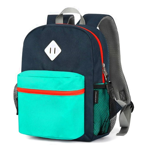STEAMEDBUN Toddler Backpack for Boys 2-4, Kindergarten & Preschool Mini
