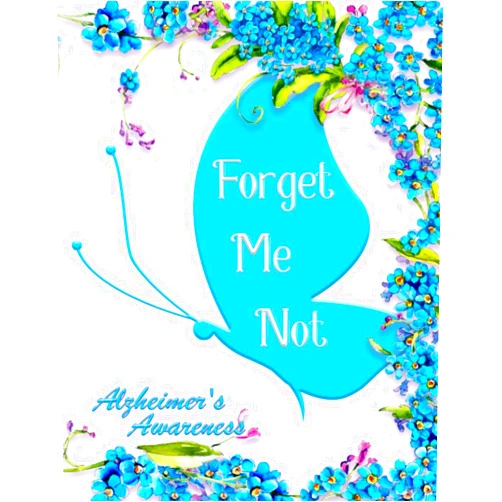 Aislinn Cano Forget Me Not. Alzheimer's Awareness: Gigts ideas/notebook for alzhaimer patiens.