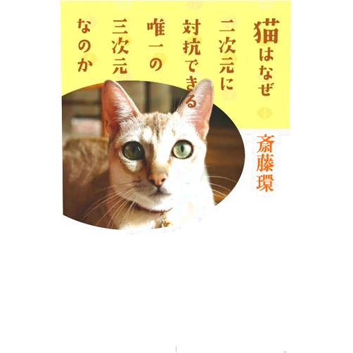 Japanese Edition by Tamaki SaitoÌ„ (Author) neko wa naze nijigen ni taikoÌ„dekiru yuiitsu no sanjigen nanoka