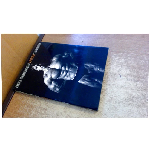 George Butler Arnold Schwarzenegger: A Portrait