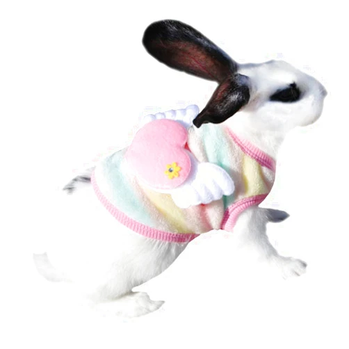 HAICHEN TEC Winter Warm Fleece Bunny Rabbit Clothes Cute Small Animal Guinea Pig Chinchilla Ferret Angel Costume Accessories Outfit for Hamster Ferret Rat Guinea Pig Cat Kitten Dog Puppy and Small Animals (XXXS)