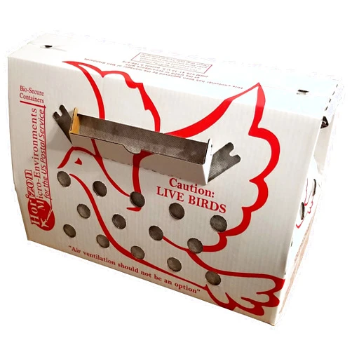 Pinnon Hatch Farms 'Vented' Singles Live Chicken Shipping Boxes (10 pack)