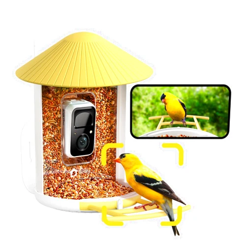 NETVUE Birdfy AI Smart Bird Feeder with Camera, AI Auto Capture Each Bird Come & Identify 6000+ Bird Species, Cloud Store Bird Videos & Birdwatching On Live, Ideal Gift (Yellow)