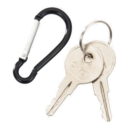 Aree 2 PCS CH751 Replacement Keys with Keychain Universal Fitment for RV Compartments Campers Cabinet Door Hatch Locks Carts T-Handles Shells Tool Boxes Trash Laundry Chutes Sprinkler Controllers