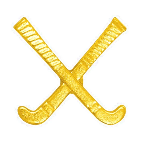ZipToMeNow Sports Chenille Lapel Pins: 44 Varieties - Bright Gold - Unisex - Clutch Back