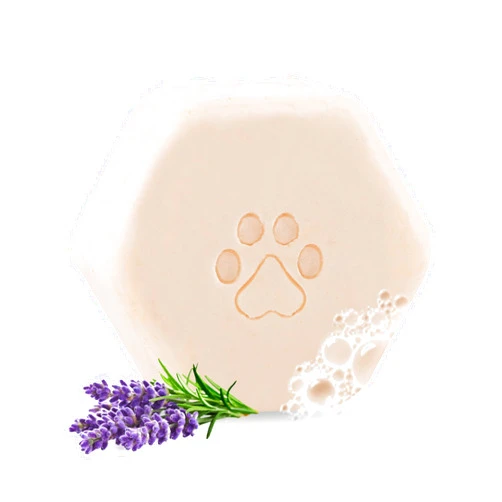 Oliva60 Natural Dog Shampoo Bar with Colloidal Oatmeal, Lavender, and Vanilla | Eco-Friendly, Long-Lasting Dog Bath | Sensitive Skin | Sulfate-Free, Nourishing Oils for Shiny Coat | Dog Essentials | Oliva 60