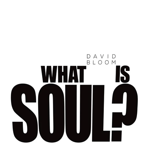 By David Bloom (Author) What Is Soul?
