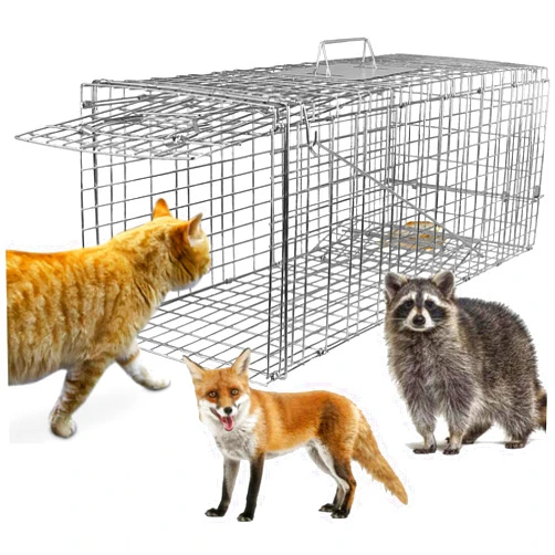 TeqHome Live Animal Cage Trap 30.5