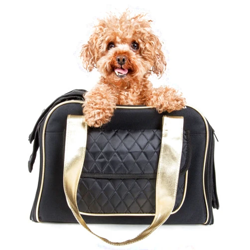 Pet Life Mystique Fashion Airline Approved Pet Carrier - Airline Dog Carrier with front pouch and dual entrances and included shoulder straps