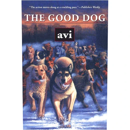 Avi The Good Dog