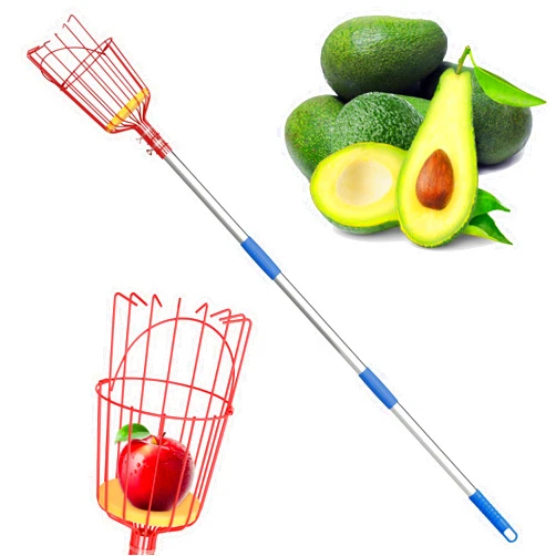 MANXRKUI Fruit Picker, 8 ft Long Fruit Picker Pole with Basket Telescoping, Apple Fruit Tree Picker with Pole Extendable, Fruit Grabber & Cather with Stainless Steel Pole for Mango, Orange, Fig, Lemon