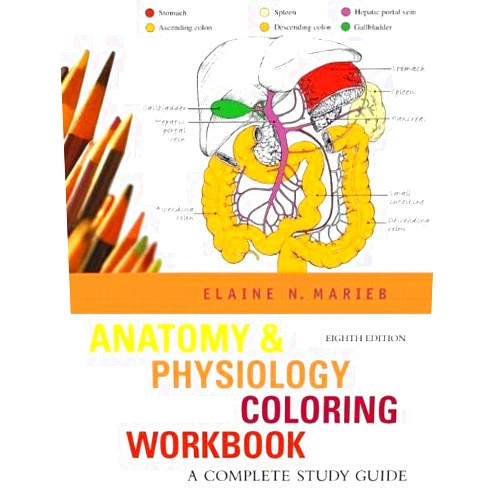 Elaine N. Marieb Anatomy & Physiology Coloring Workbook: A Complete Study Guide (8th Edition)