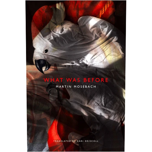 By Martin Mosebach (Author), Kári Driscoll (Translator) Format: Kindle Edition What Was Before (The German List)